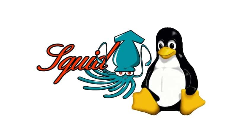 Squid3 en Linux